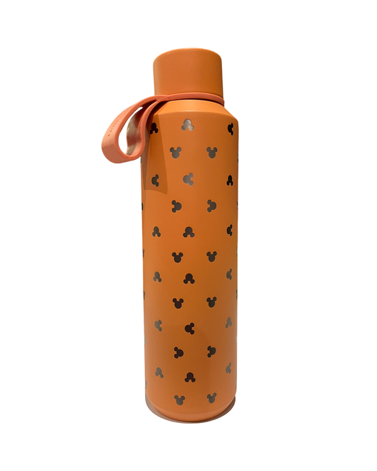 Mickey & Co. bottle 21oz